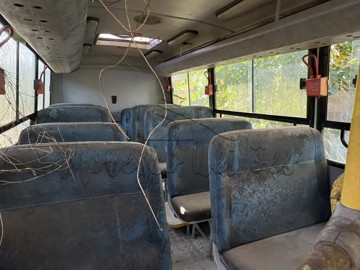 LOTE 017 - Micro Ônibus