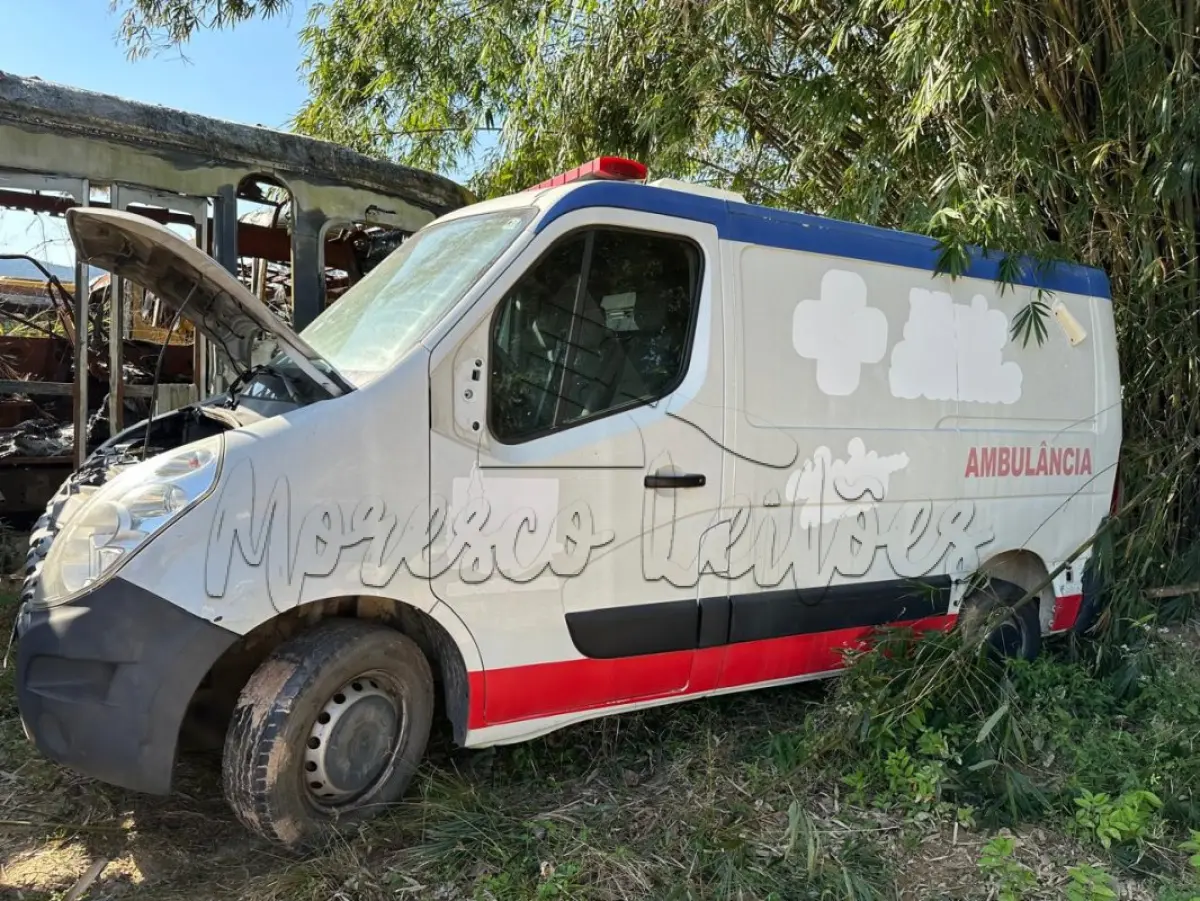 LOTE 007 - Automóvel