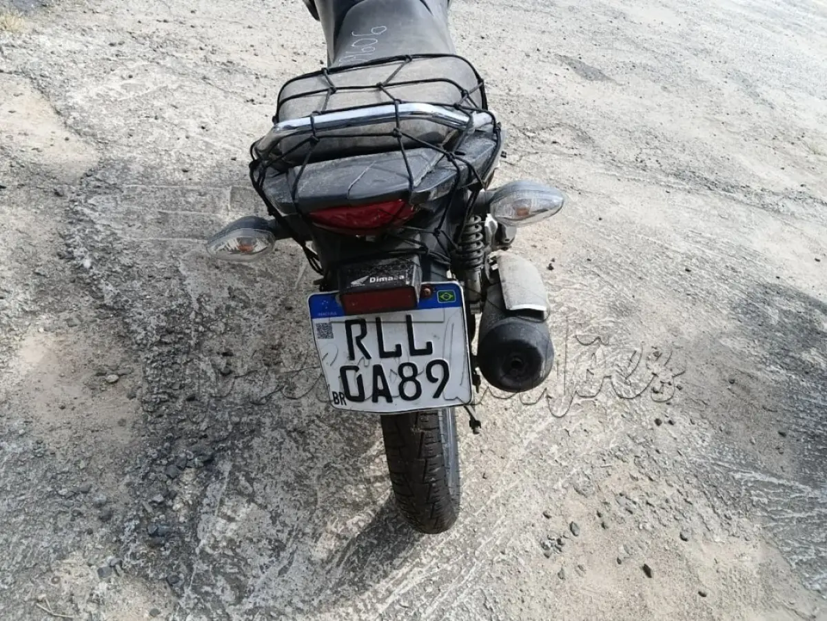 LOTE 0164