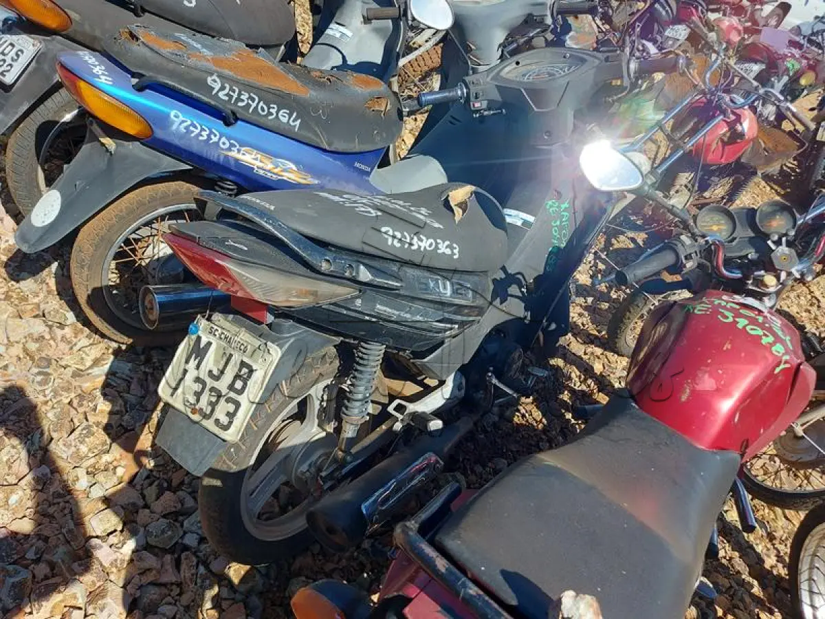 LOTE 0395