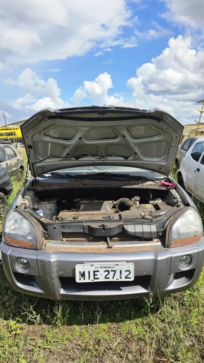 LOTE 0012