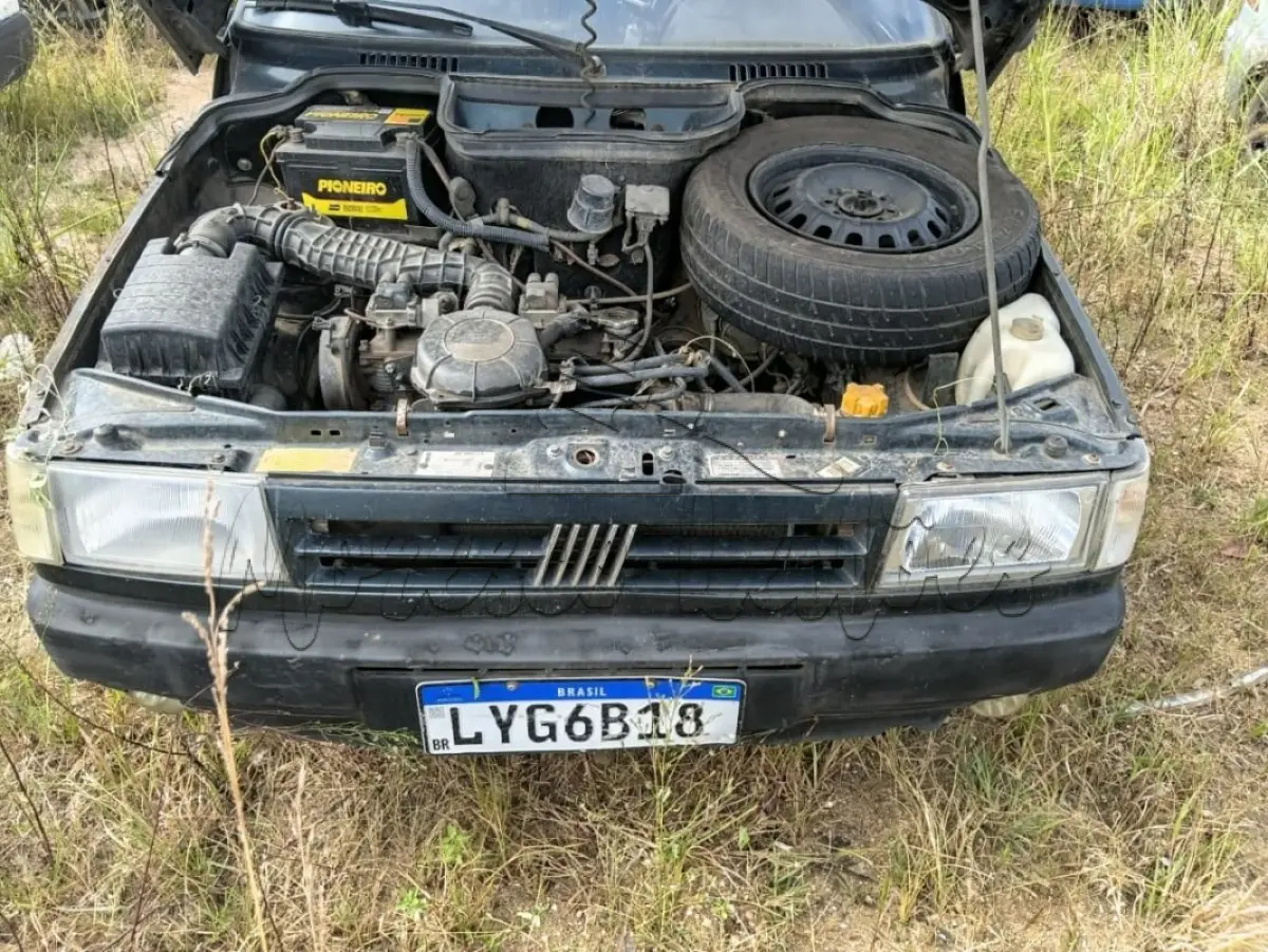 LOTE 0354