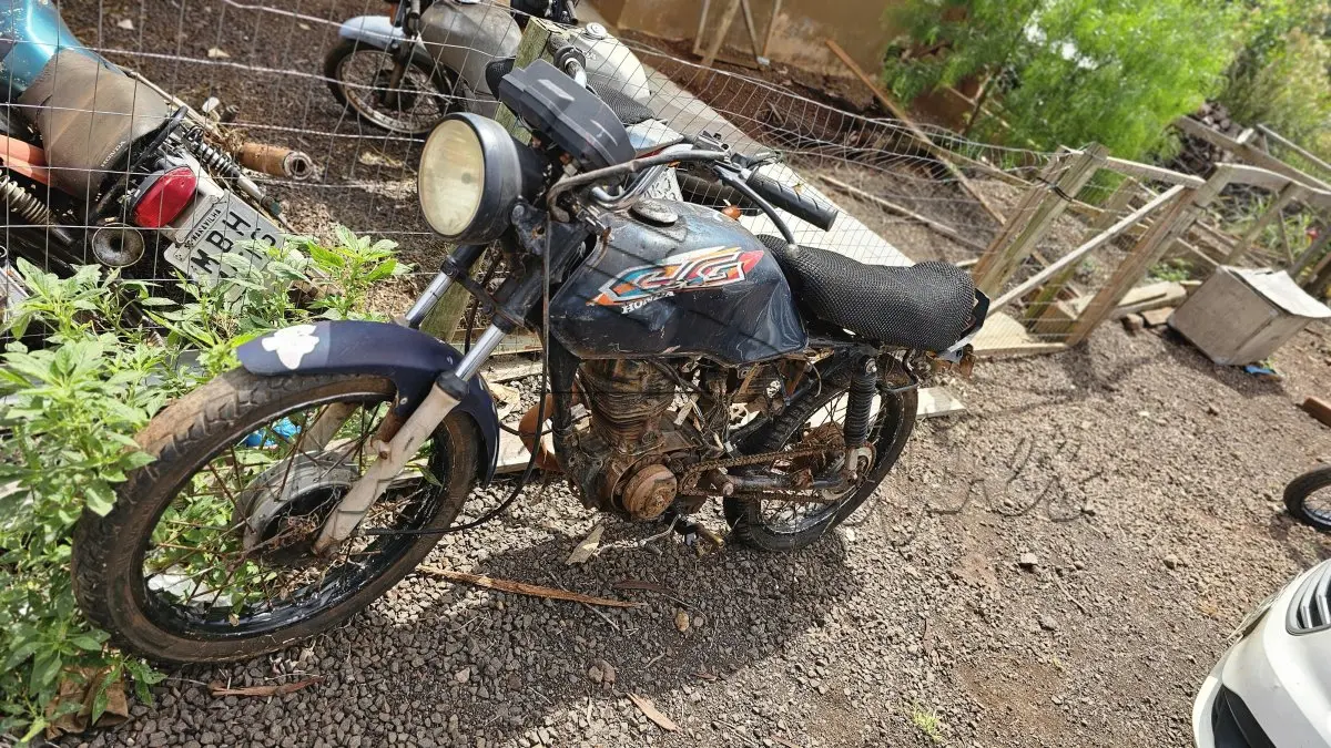 LOTE 0389