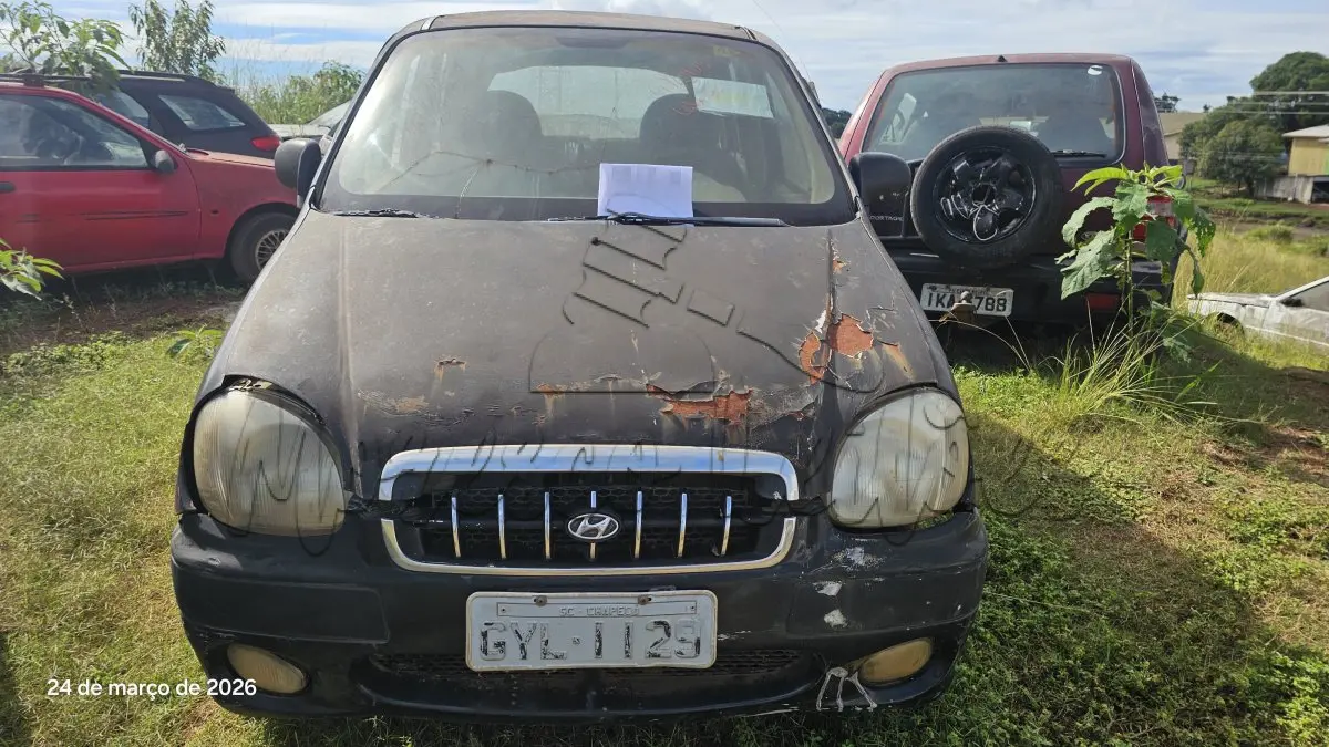 LOTE 0334