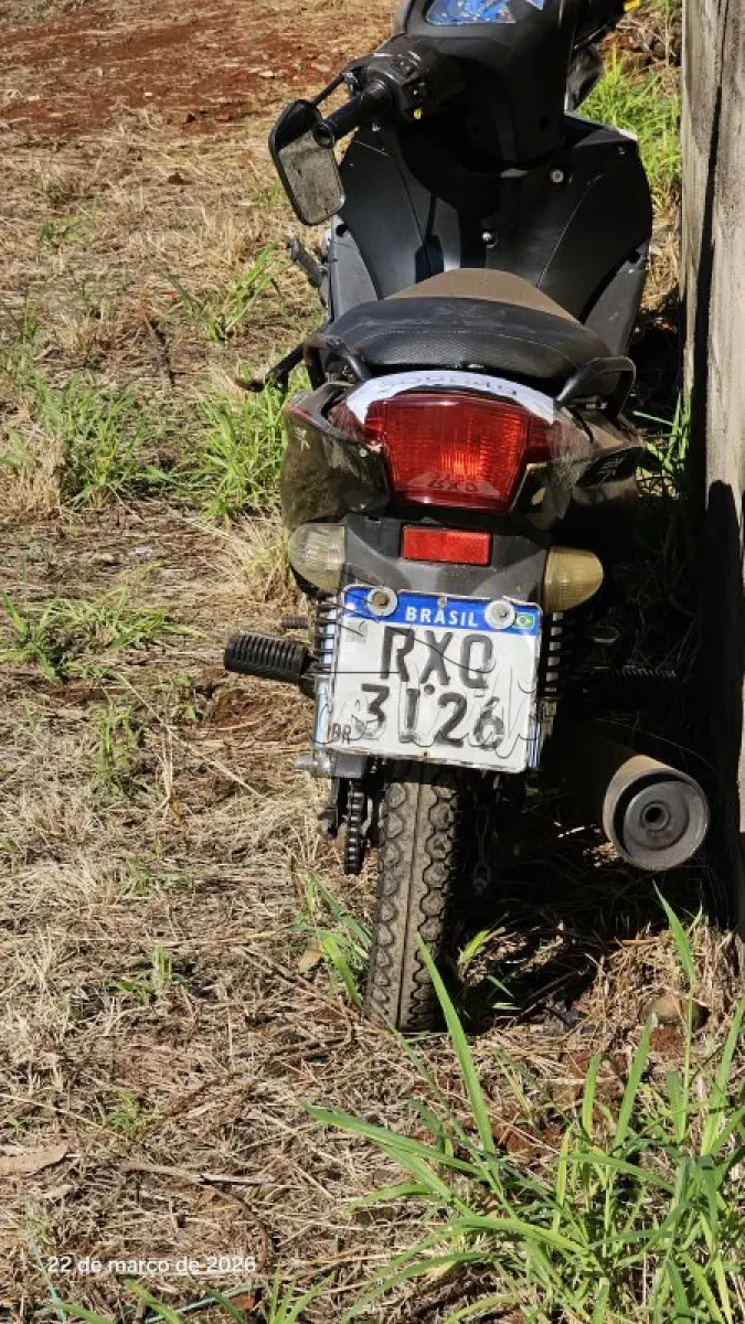 LOTE 0242