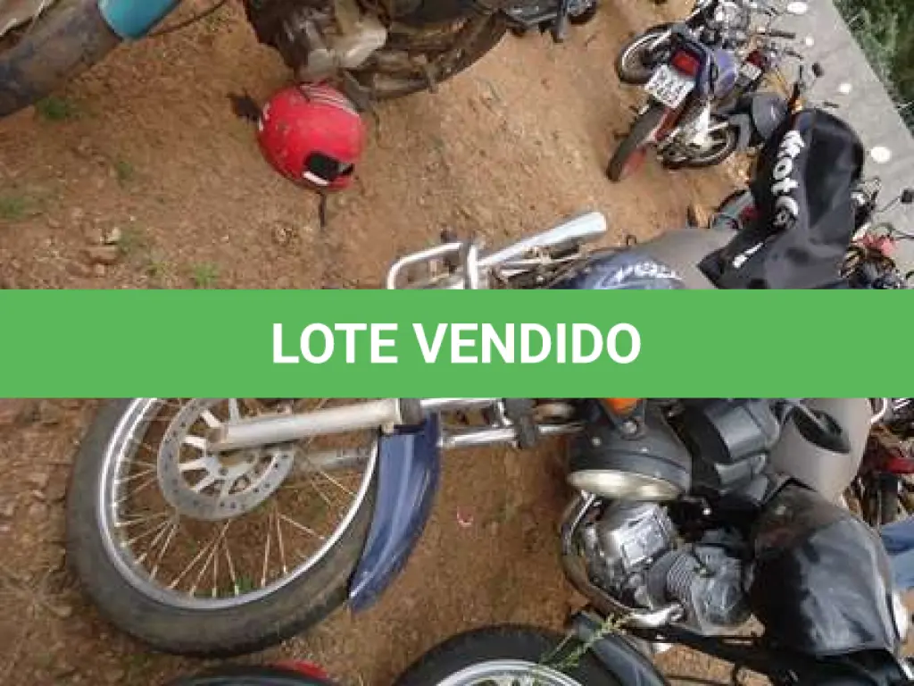 LOTE 0124