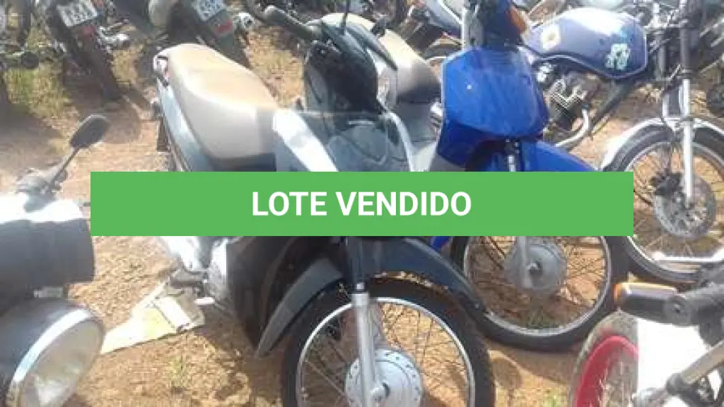 LOTE 0049