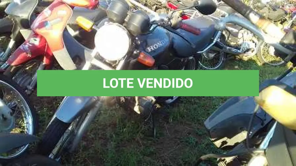 LOTE 0053