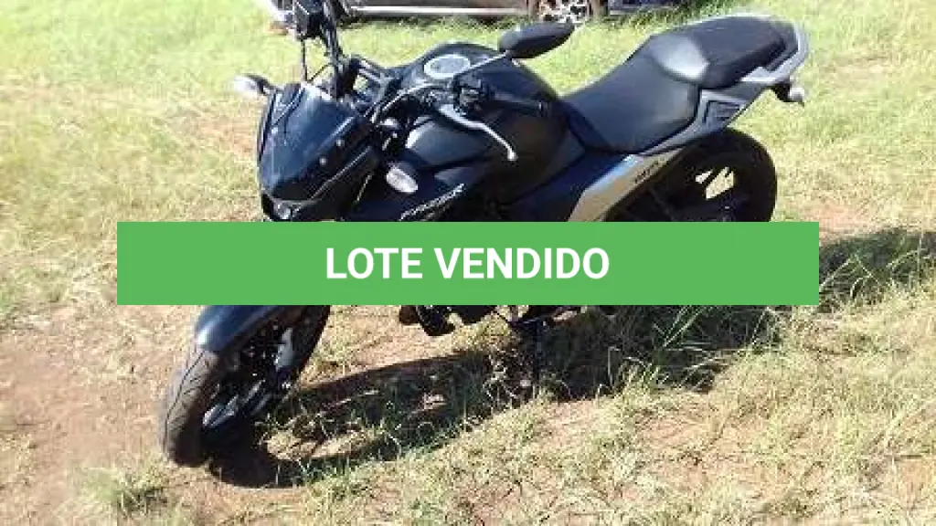 LOTE 0034