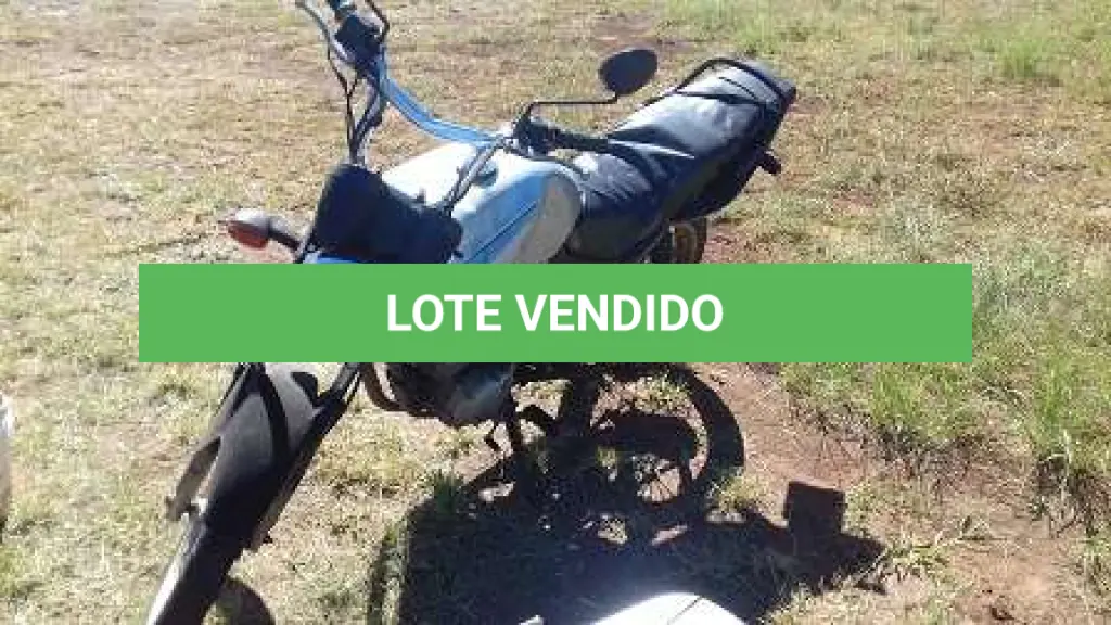 LOTE 0035