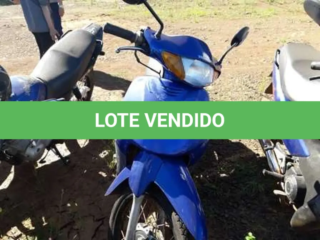 LOTE 0132