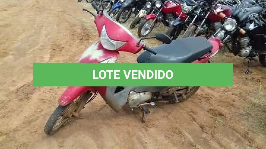 LOTE 0033