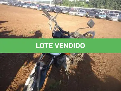LOTE 0137 - 0137