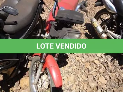 LOTE 0141 - 0141