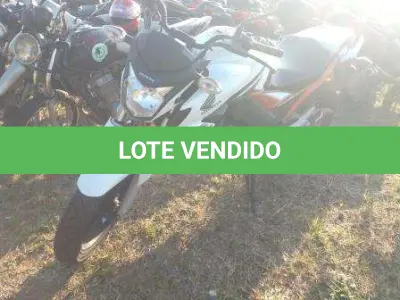 LOTE 0039 - 0039