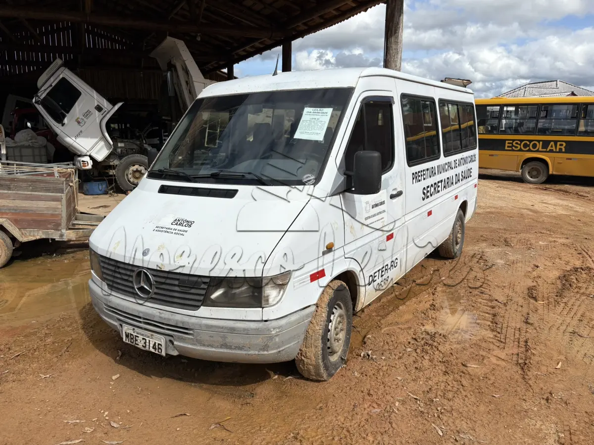 LOTE 002 - Van