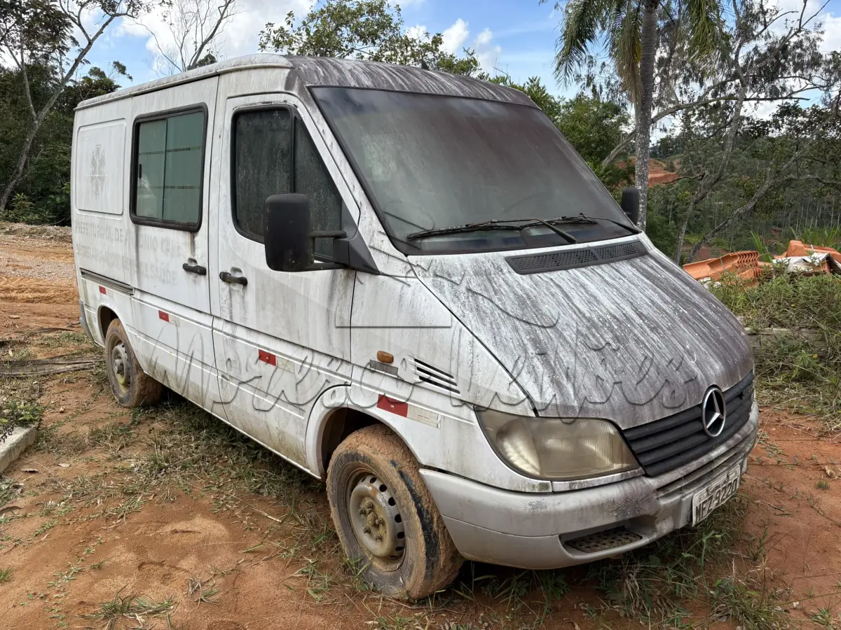LOTE 001 - Van