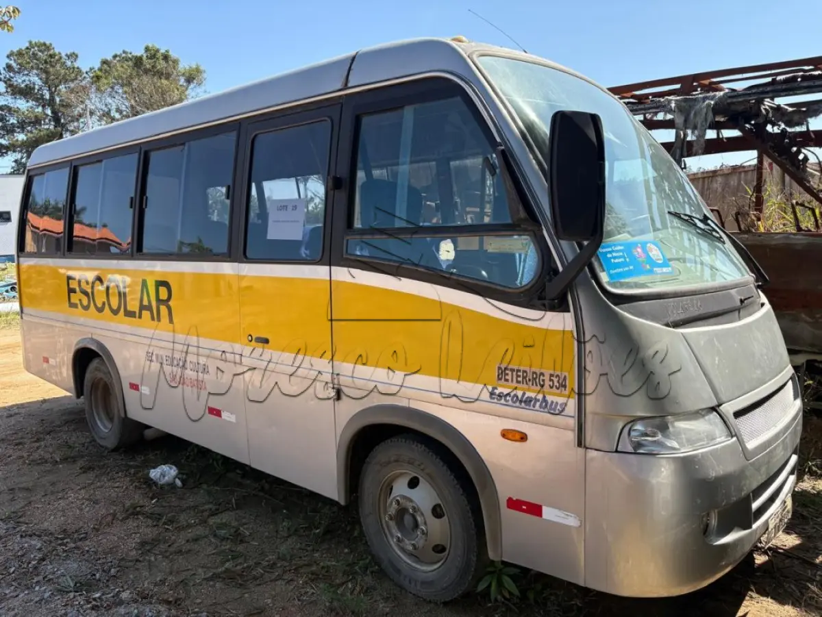 LOTE 019 - Ônibus