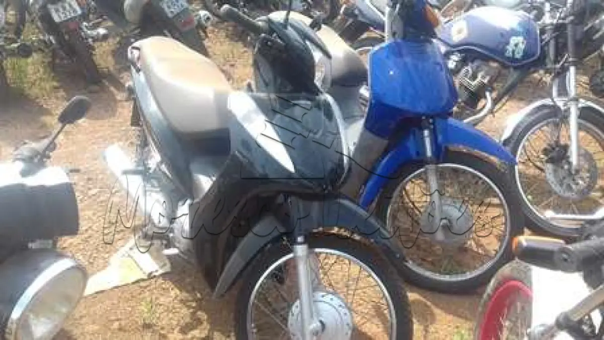 LOTE 0049