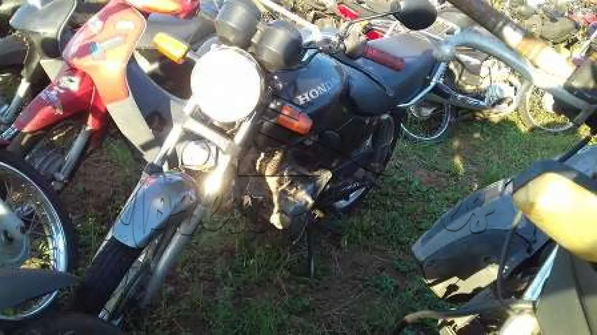 LOTE 0053