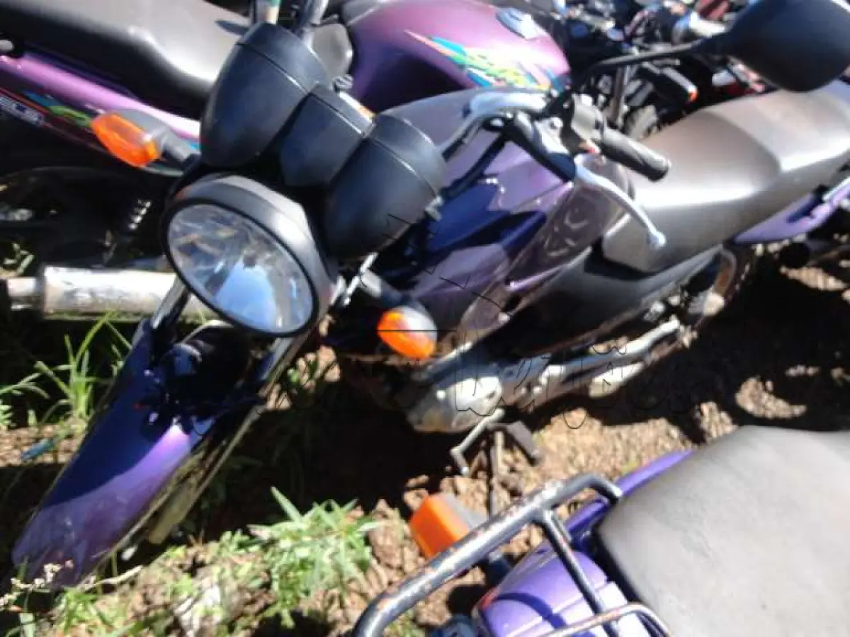 LOTE 0131