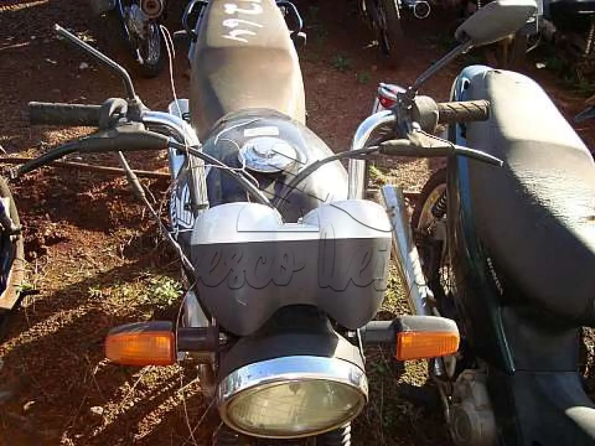 LOTE 0125