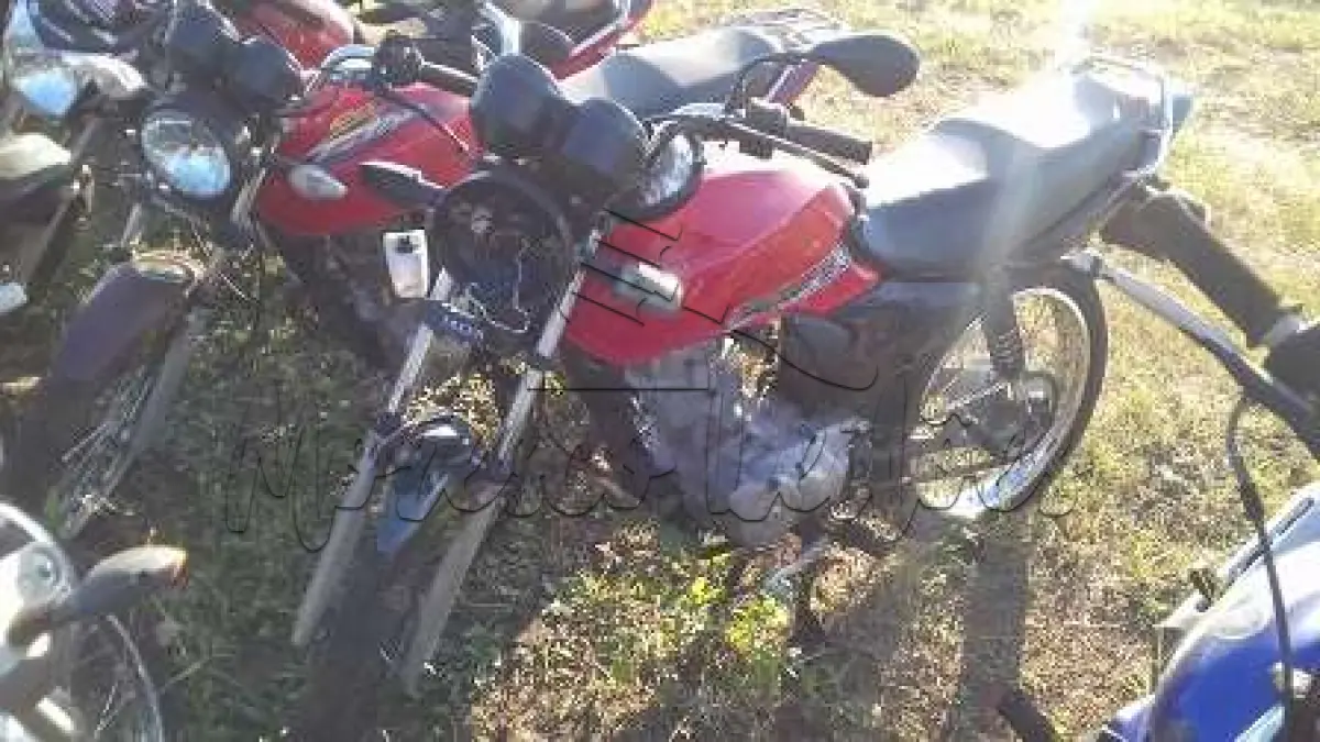 LOTE 0036