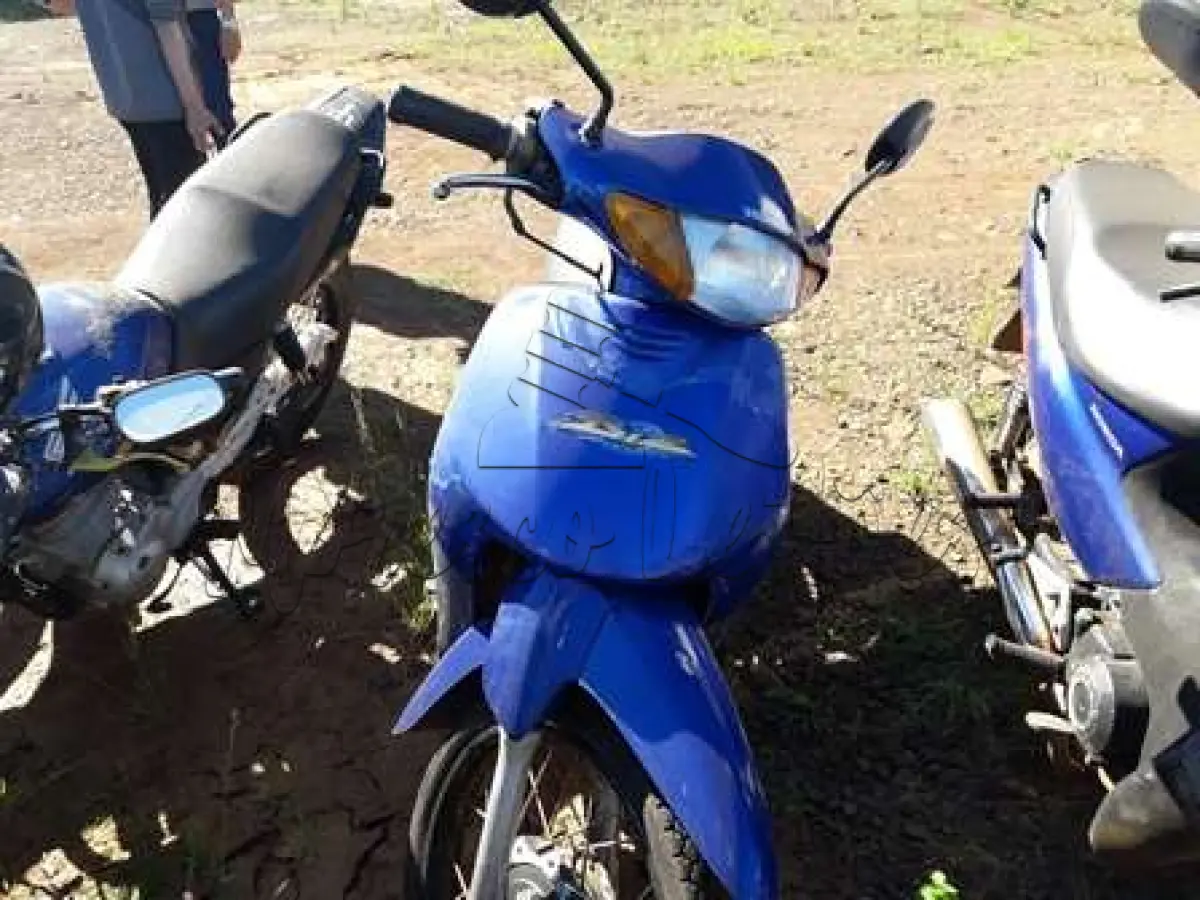 LOTE 0132