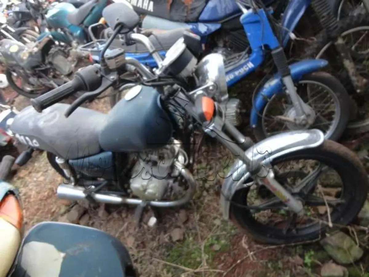 LOTE 0130