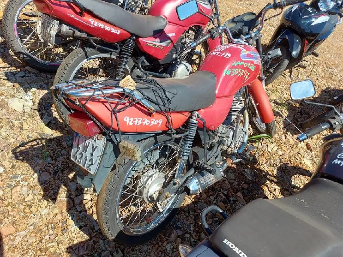 LOTE 0099