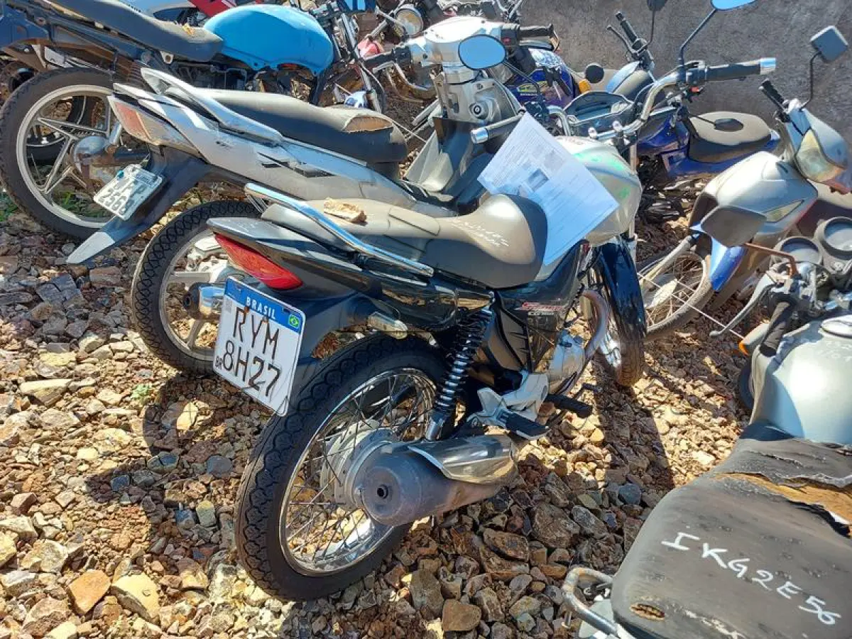 LOTE 0113