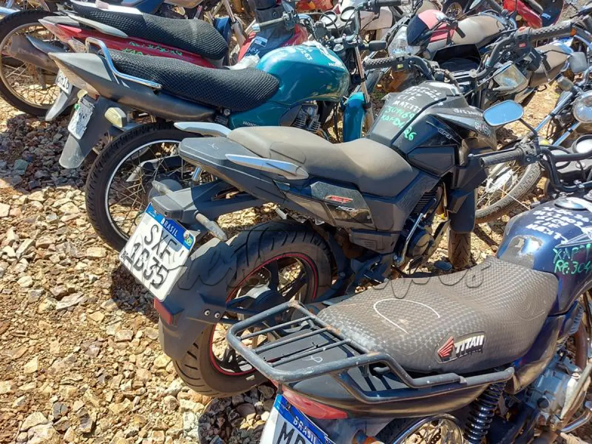 LOTE 0123