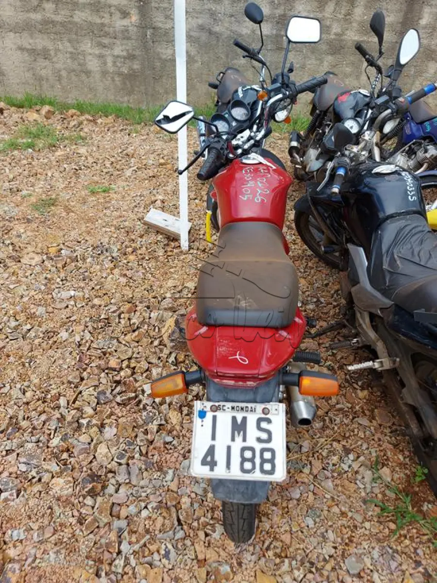 LOTE 0130