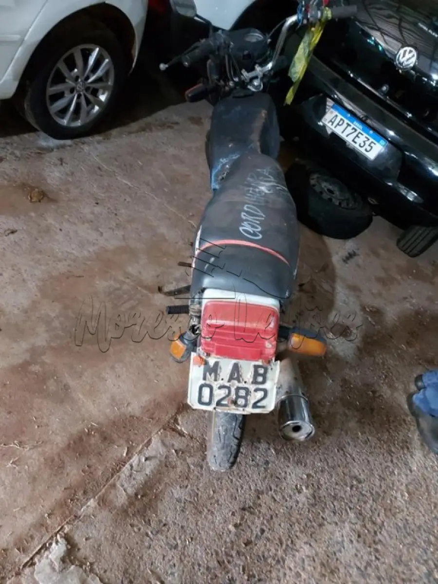 LOTE 0419