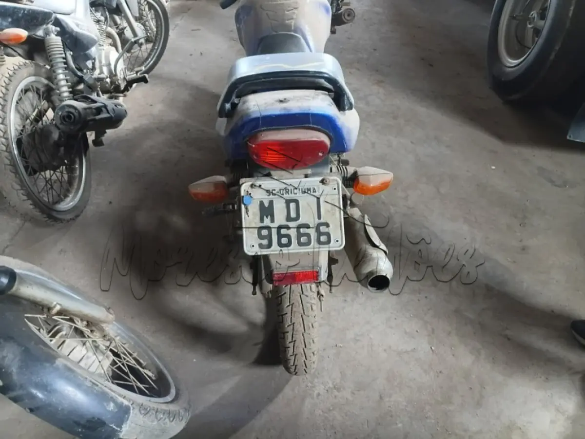 LOTE 0176
