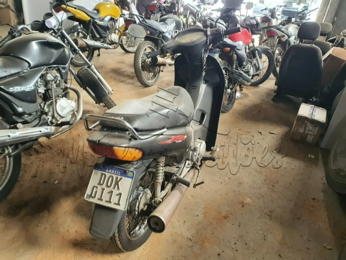 LOTE 0181
