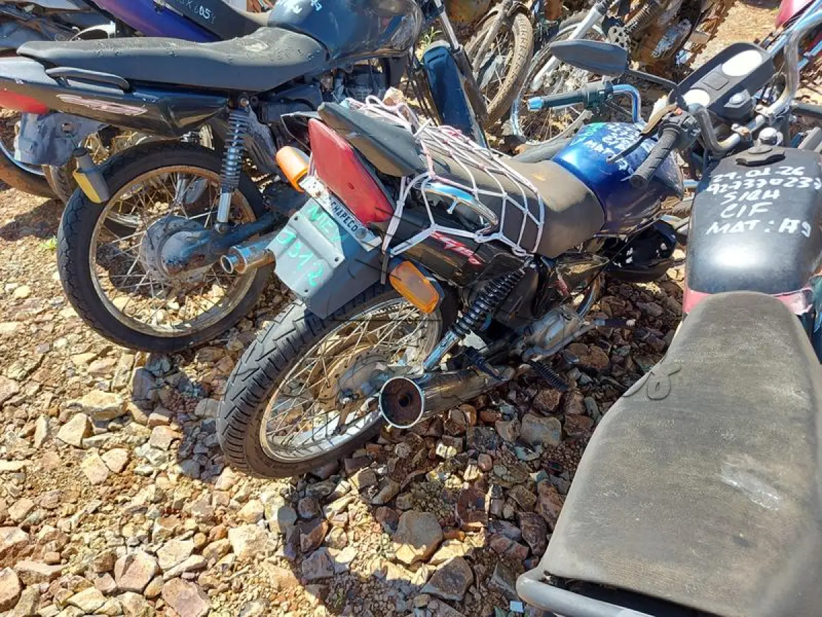 LOTE 0391
