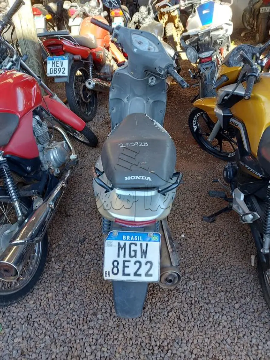 LOTE 0219