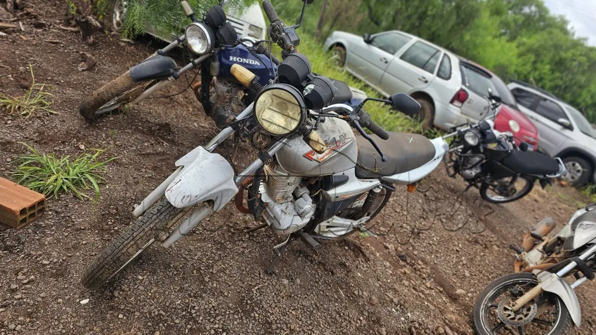 LOTE 0088