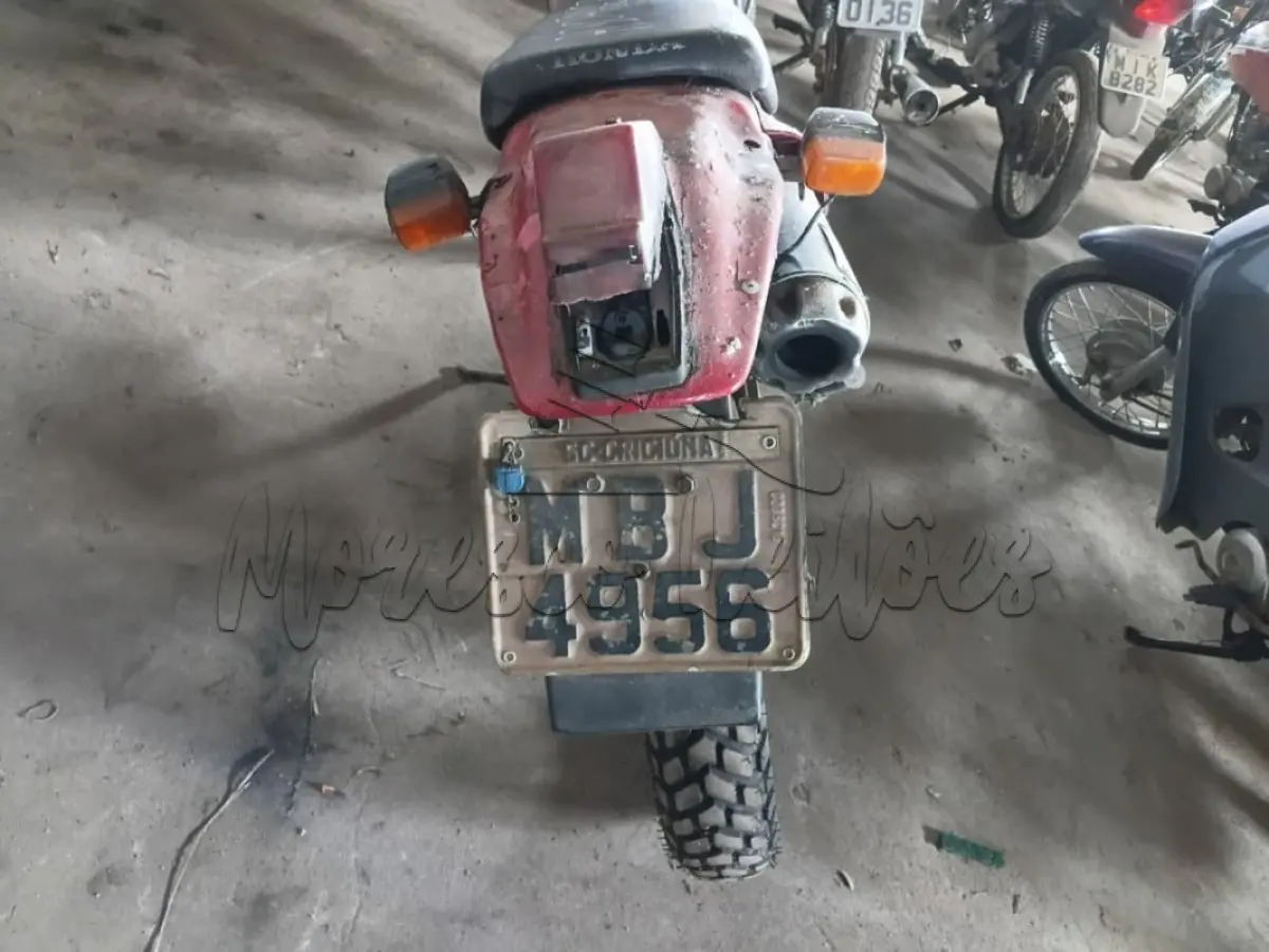 LOTE 0447