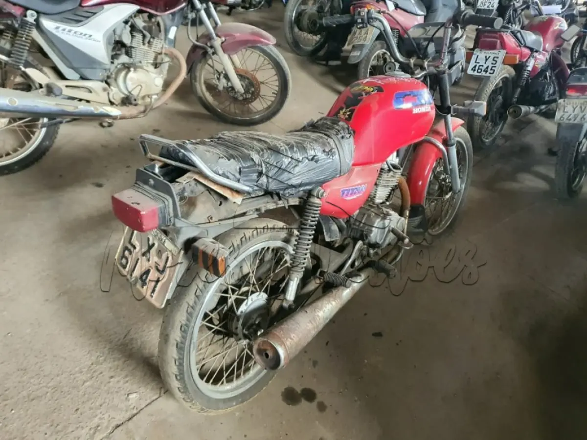 LOTE 0443