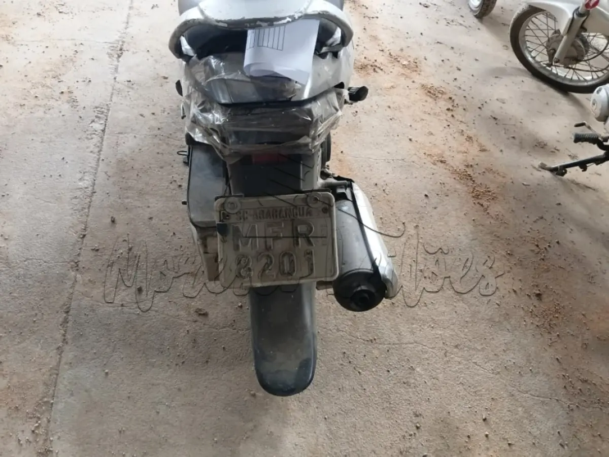 LOTE 0439