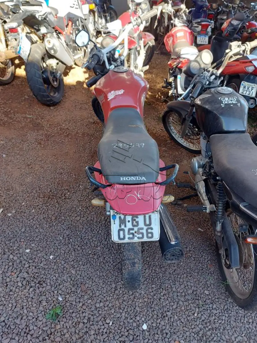 LOTE 0203