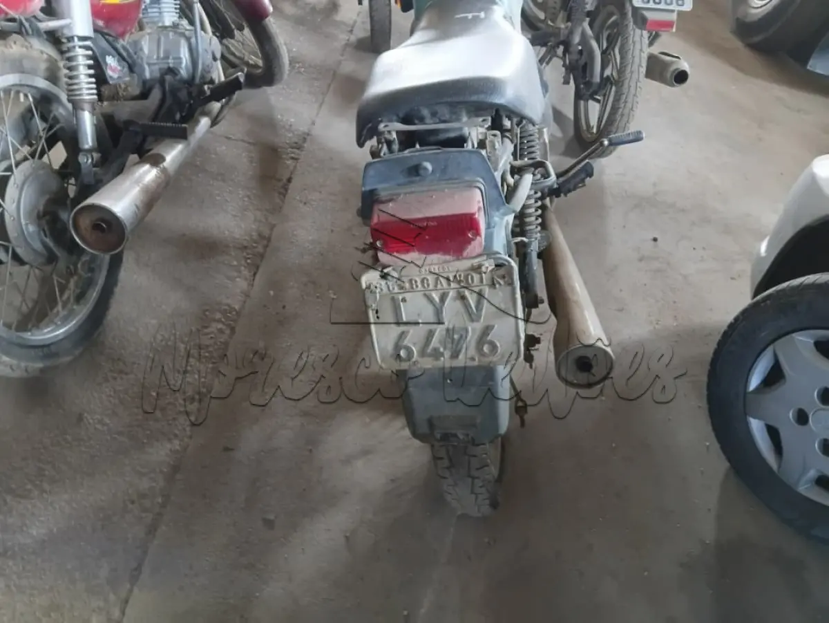 LOTE 0445