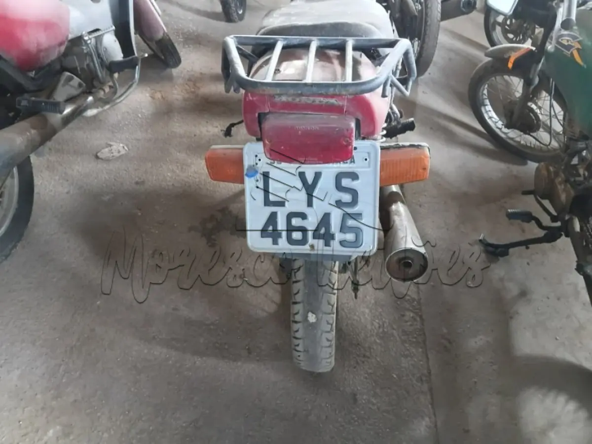 LOTE 0444