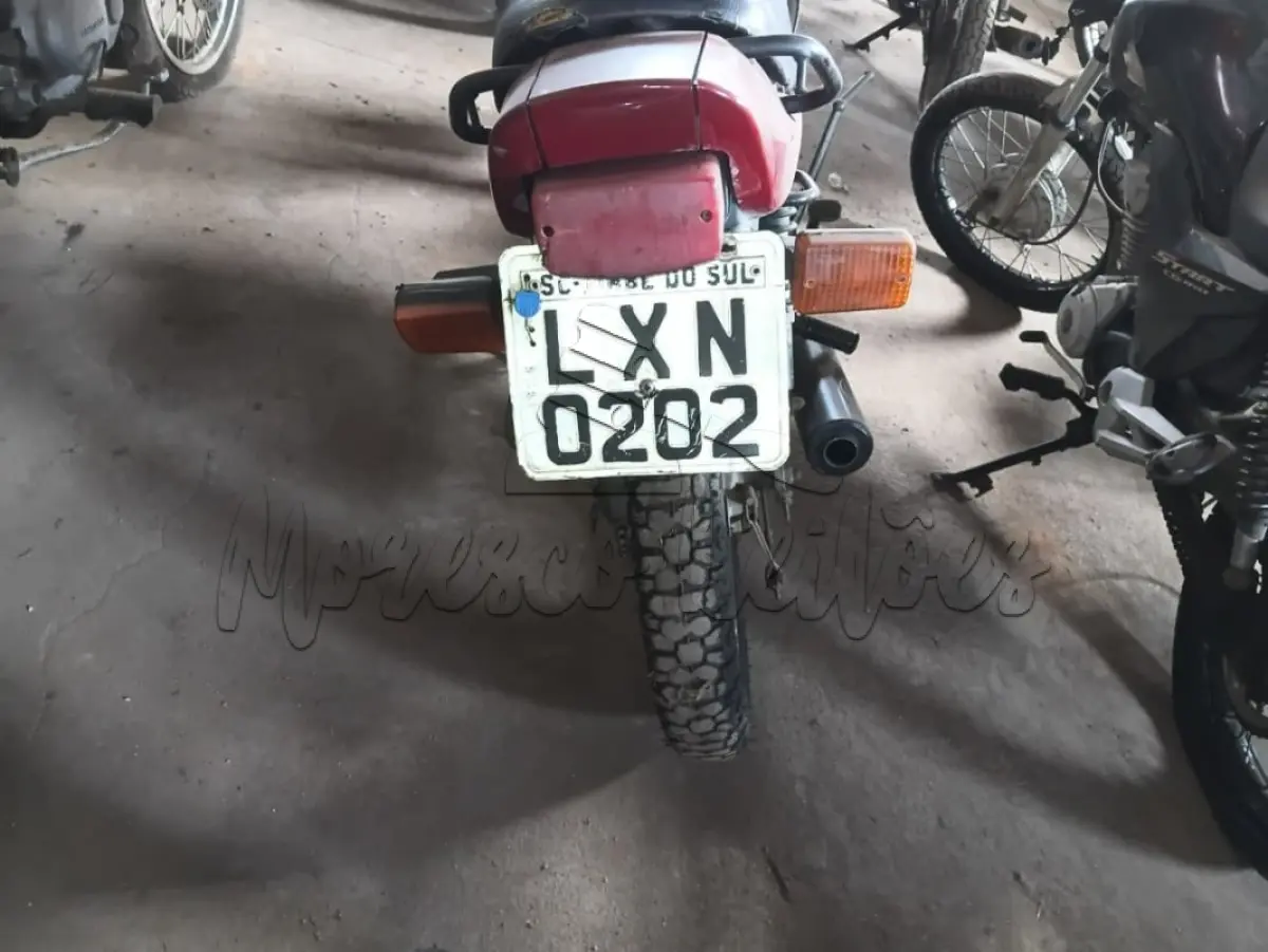LOTE 0451