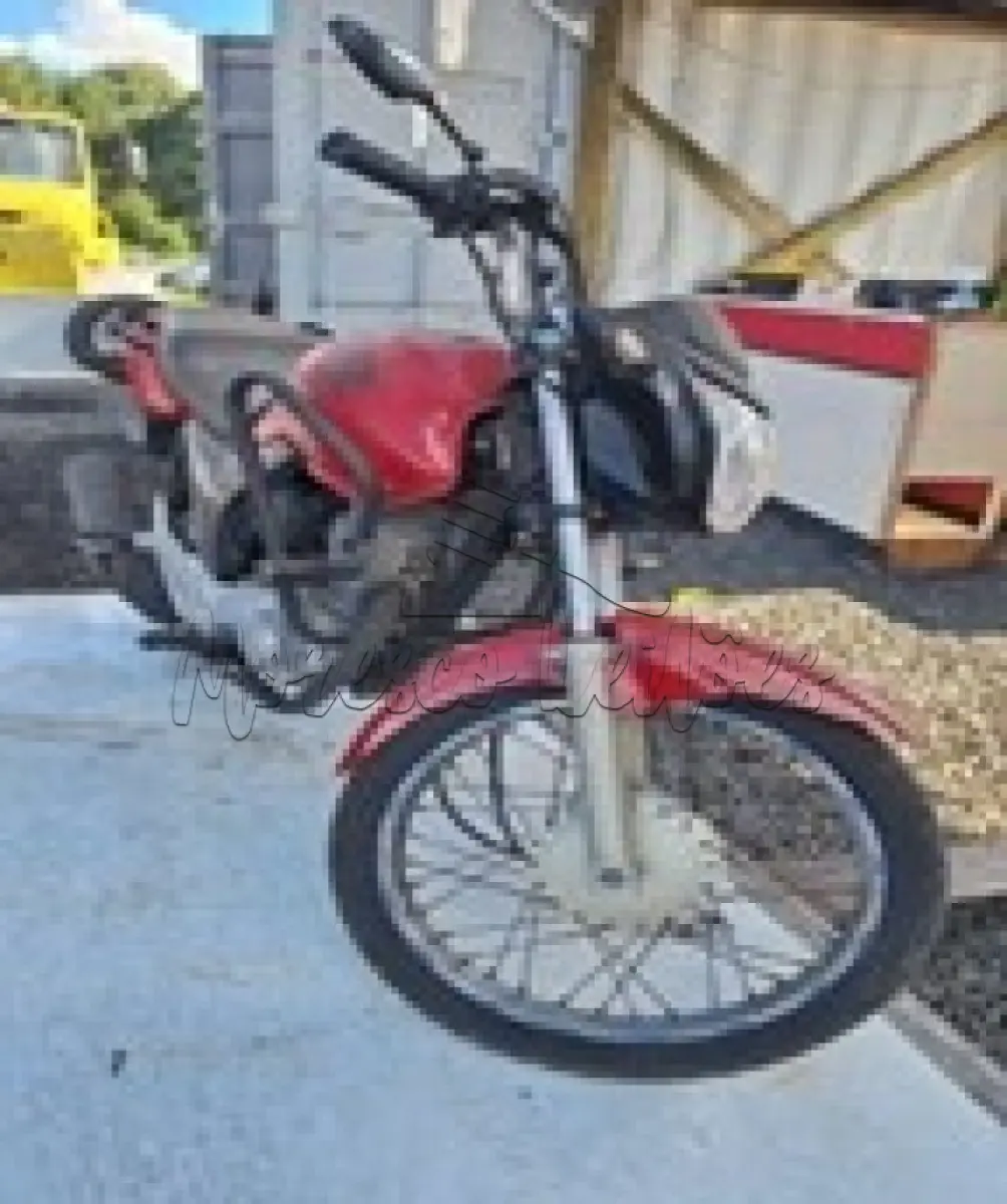 LOTE 0137