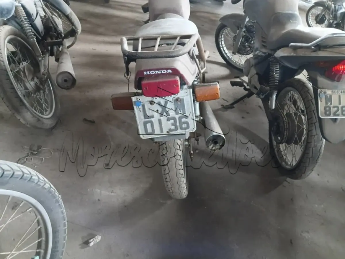 LOTE 0455