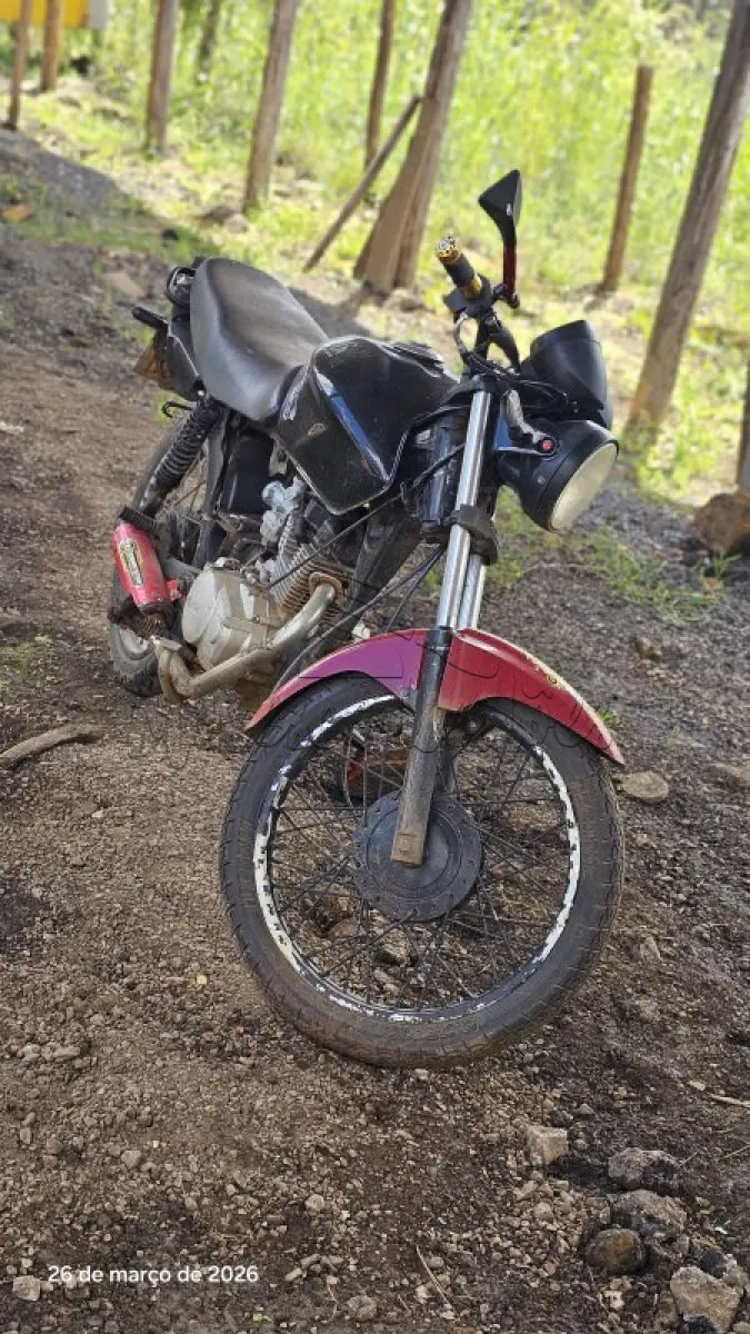 LOTE 0187