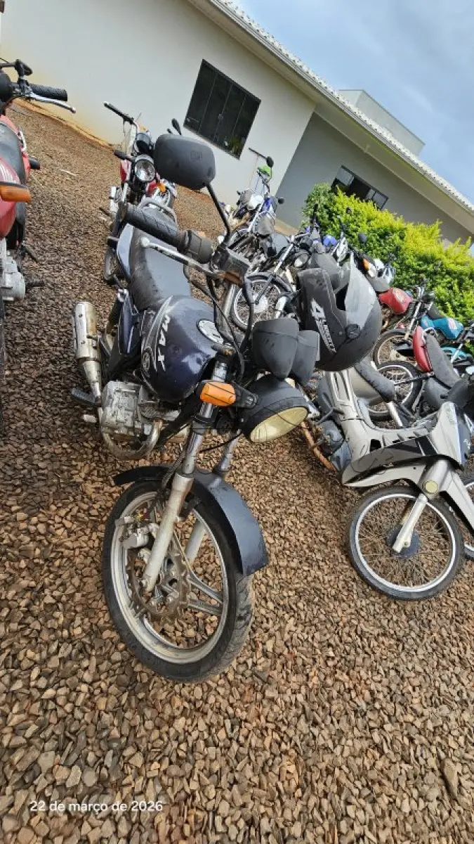 LOTE 0221